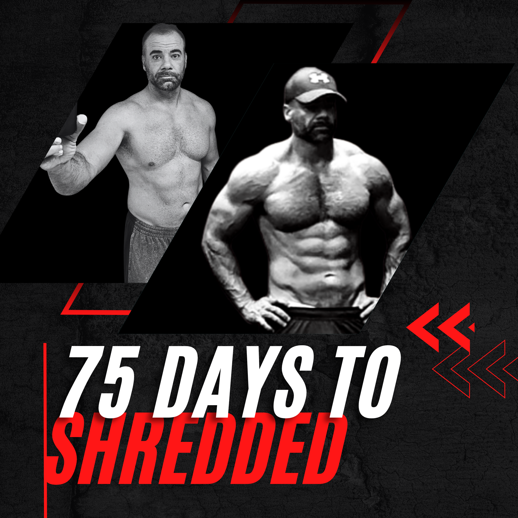 75 Days to Shredded